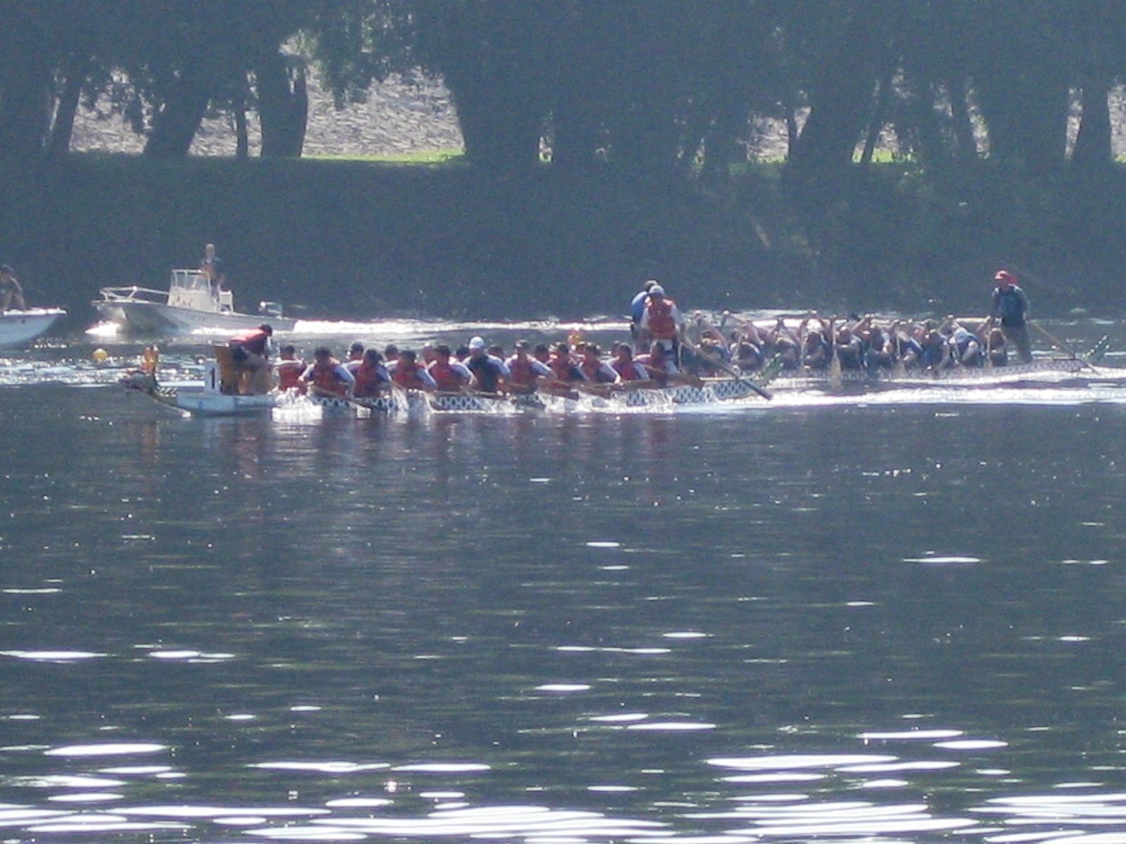 IMG_3288.jpg