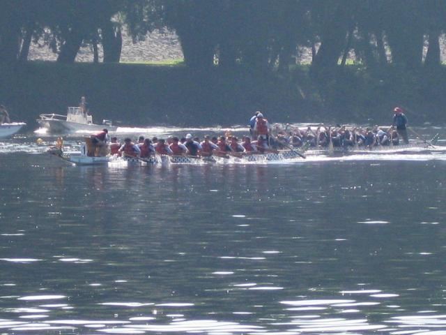 IMG_3288.jpg