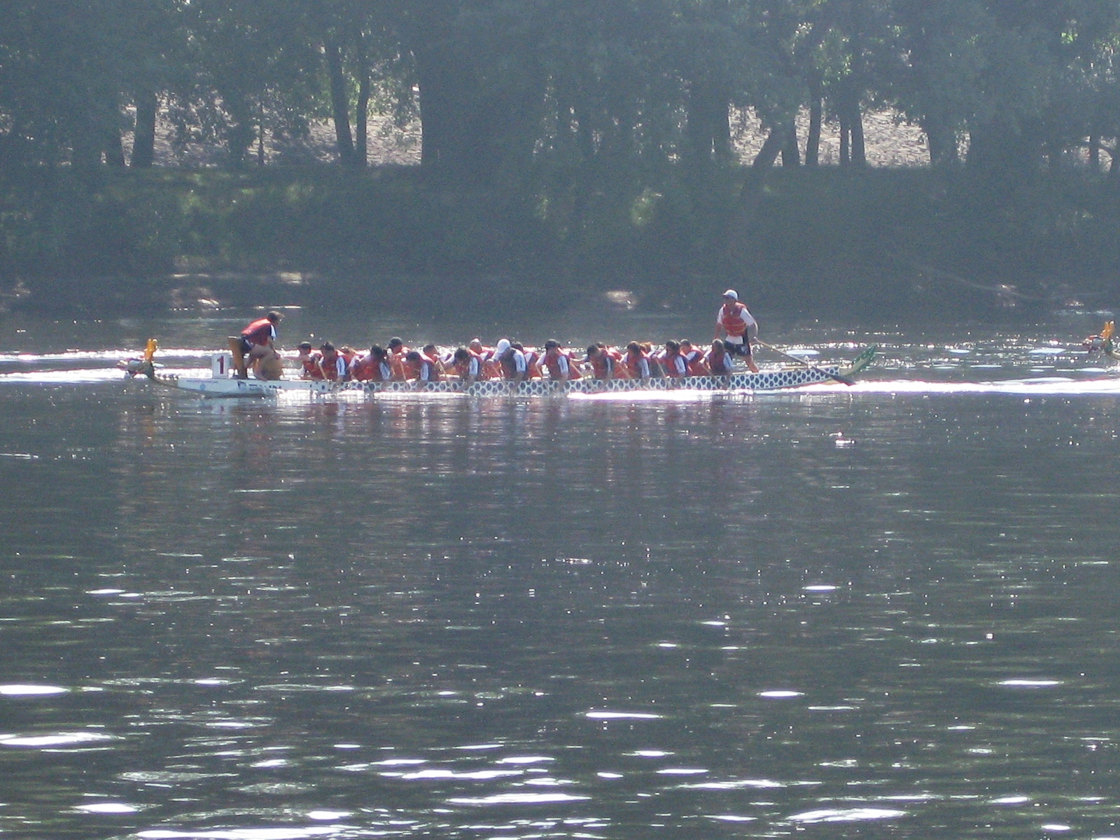 IMG_3290.jpg