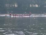 IMG_3290.jpg