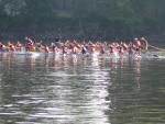 IMG_3298.jpg