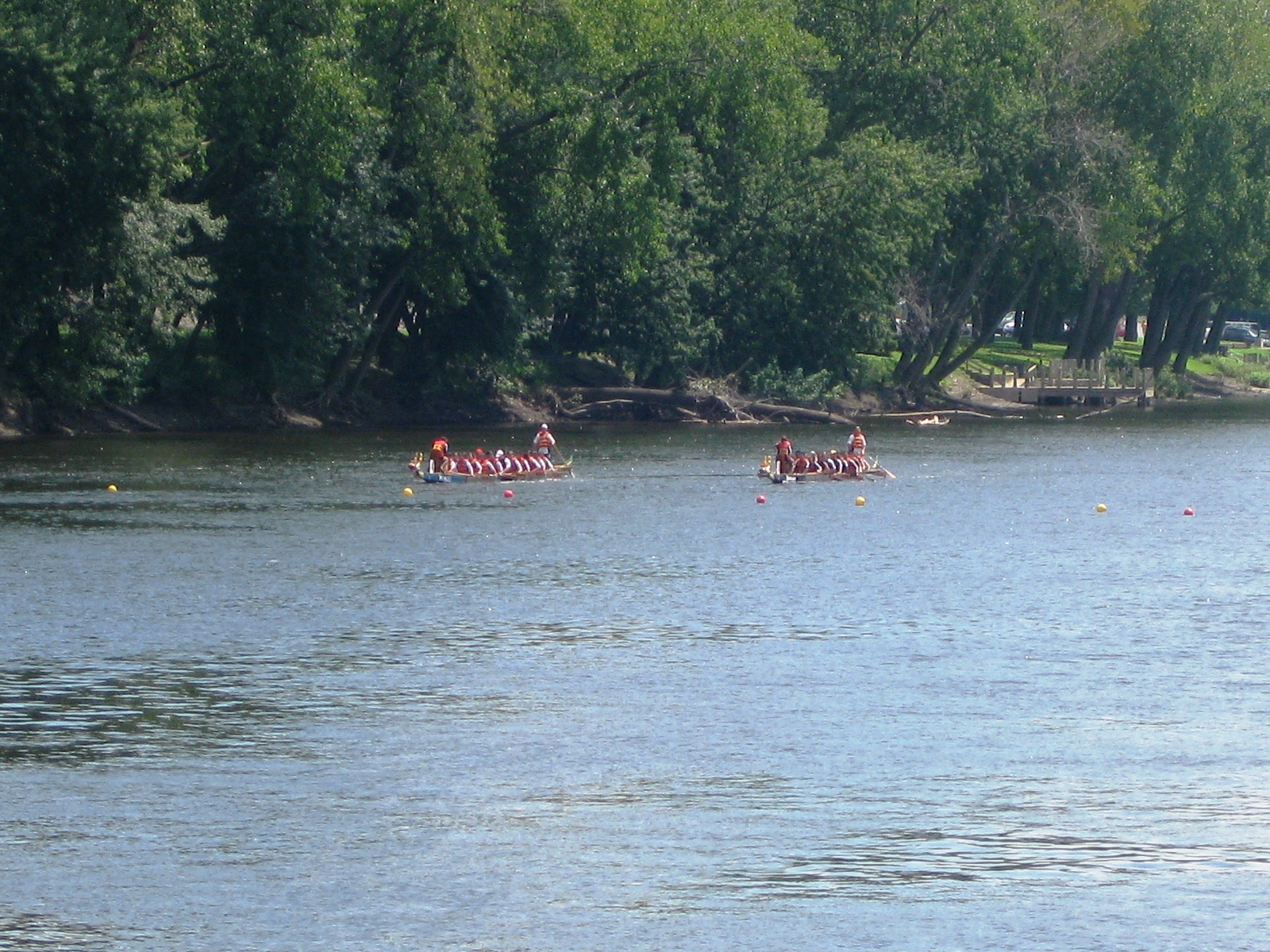 IMG_3313.jpg