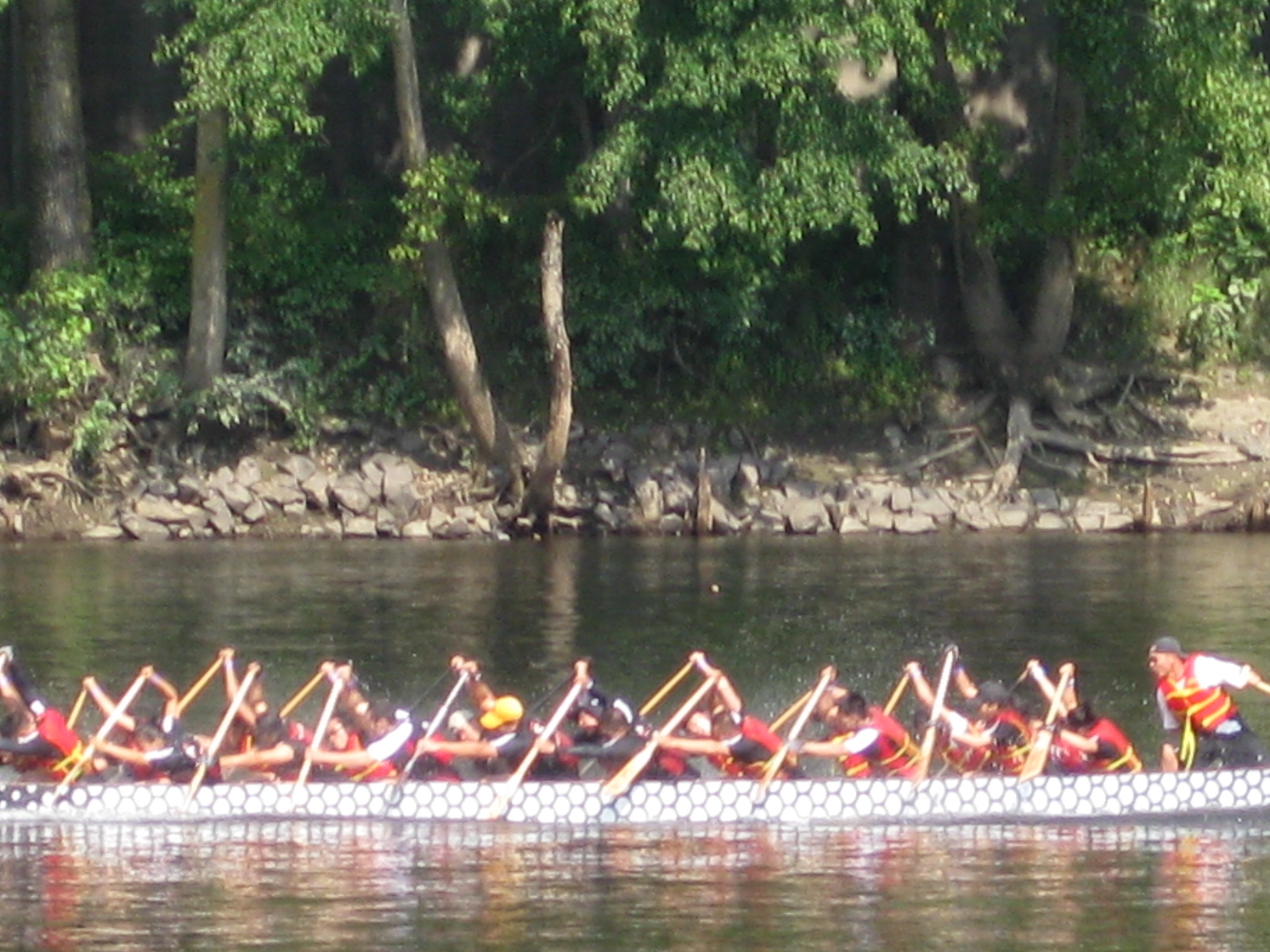 IMG_3374.jpg