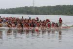 IMG_4520.JPG