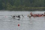 IMG_4567.JPG