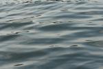 IMG_4248.JPG