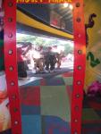 fun house mirror