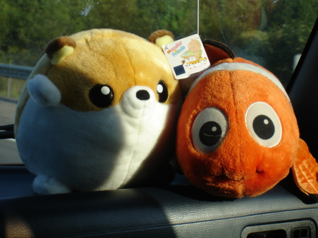 Hamster and Nemo