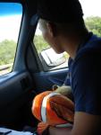DSC00522.jpg