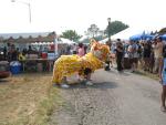 Lion Dancing