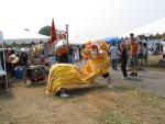 Lion Dancing