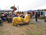 Lion Dancing