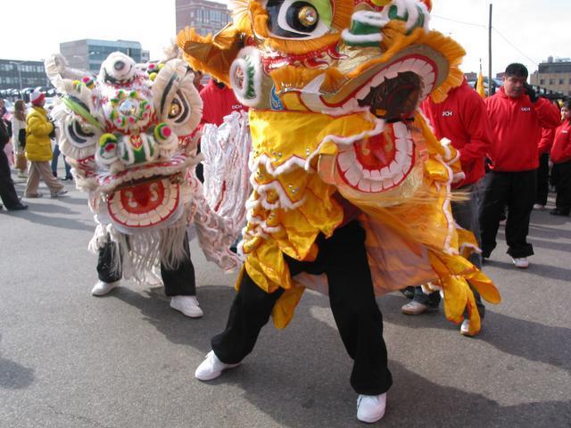 Gold and Silver lions