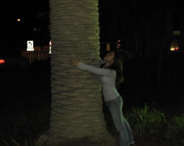 palm tree hugger