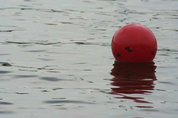 IMG_4252.JPG