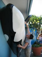 Free willy!