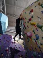 Rock Climbing at Brooklyn Boulders