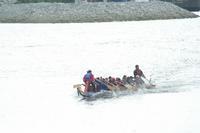 IMG_3918.JPG