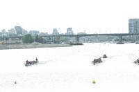 IMG_3921.JPG