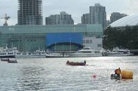 IMG_4017.JPG