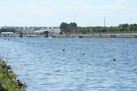 IMG_4360.JPG