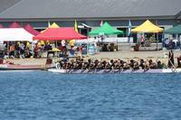 IMG_4388.JPG