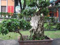 DCH Hong Kong 08 691.jpg