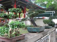 DCH Hong Kong 08 692.jpg