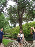 DCH Hong Kong 08 704.jpg