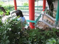 DCH Hong Kong 08 730.jpg