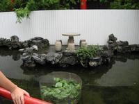 DCH Hong Kong 08 744.jpg