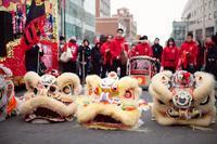 Oogster's 2011 Lunar New Year Flushing Parade PICS!